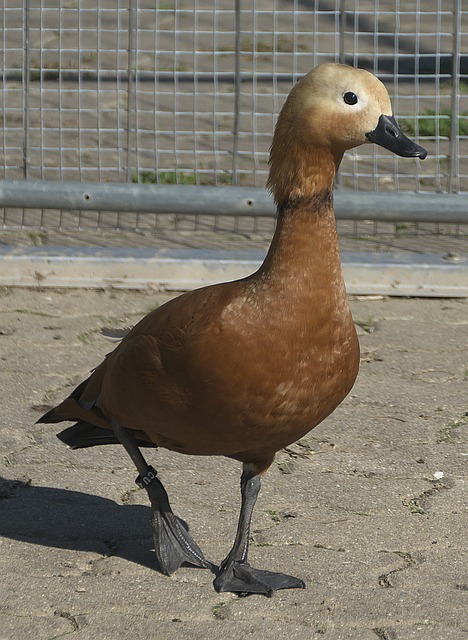 对一些防守