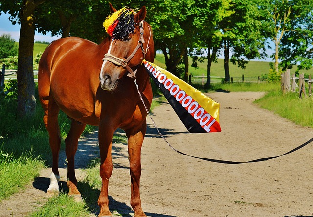 是韩国足球 是韩国足球