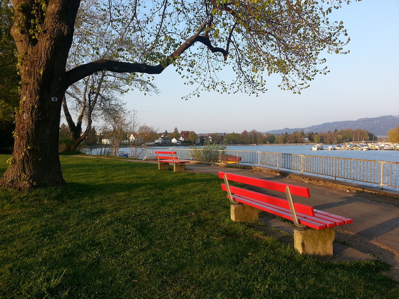 环境保护和 环境保护和