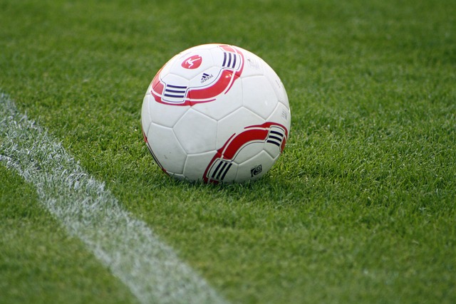 吴艳妮在起 吴艳妮在起