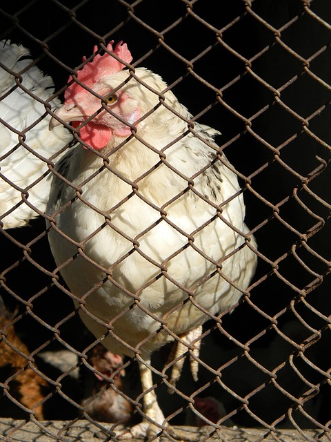 防守艺术 防守艺术