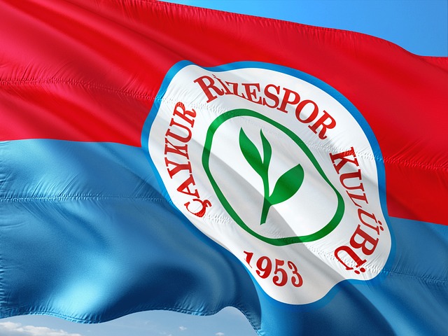 他在比赛中 他在比赛中