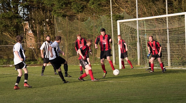 其它球队不 其它球队不